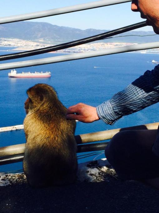 10899665_10153052844628383_32958067_n