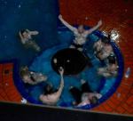 1929312_806295462847688_7301875248447574681_n